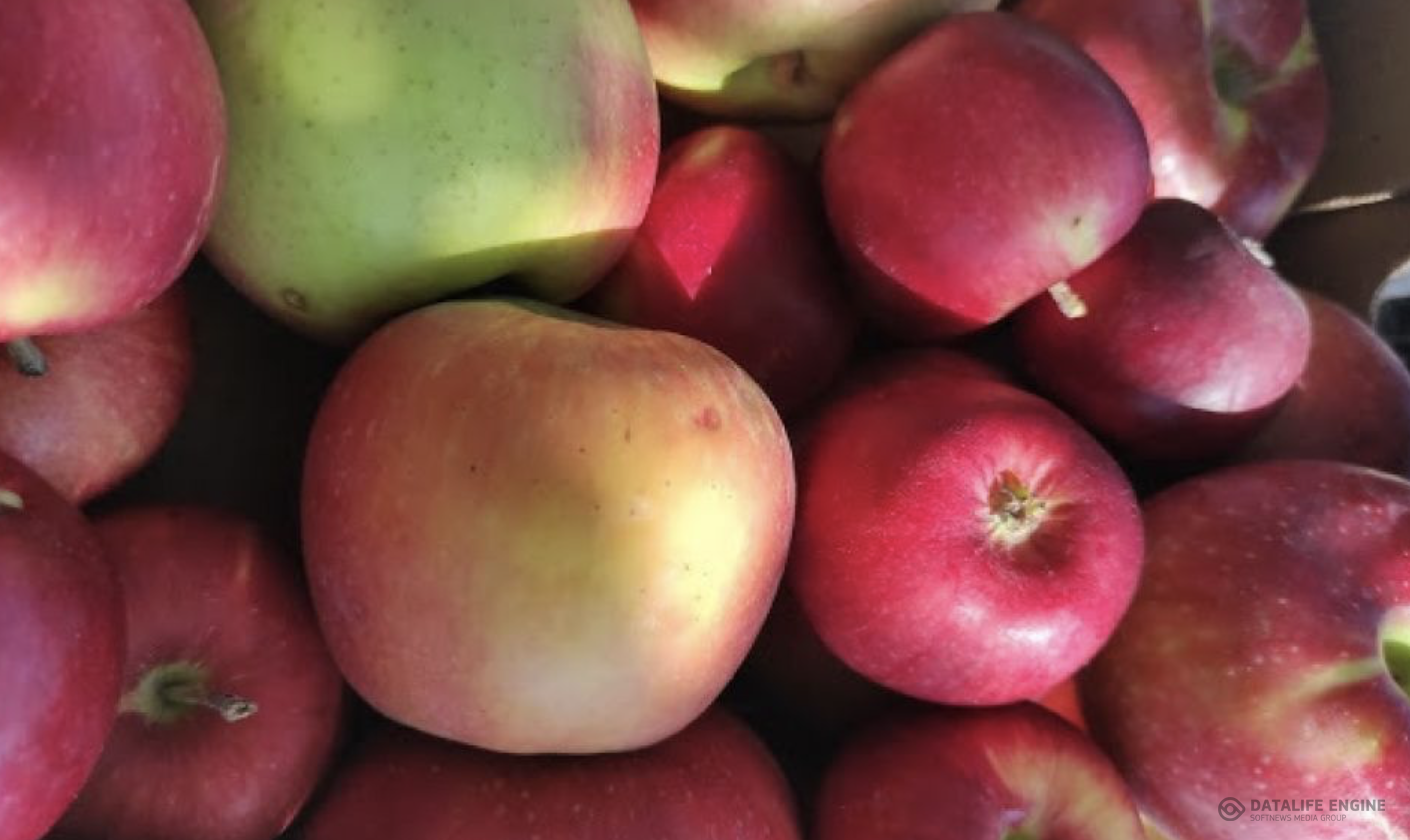 Ас -адамның арқауы!