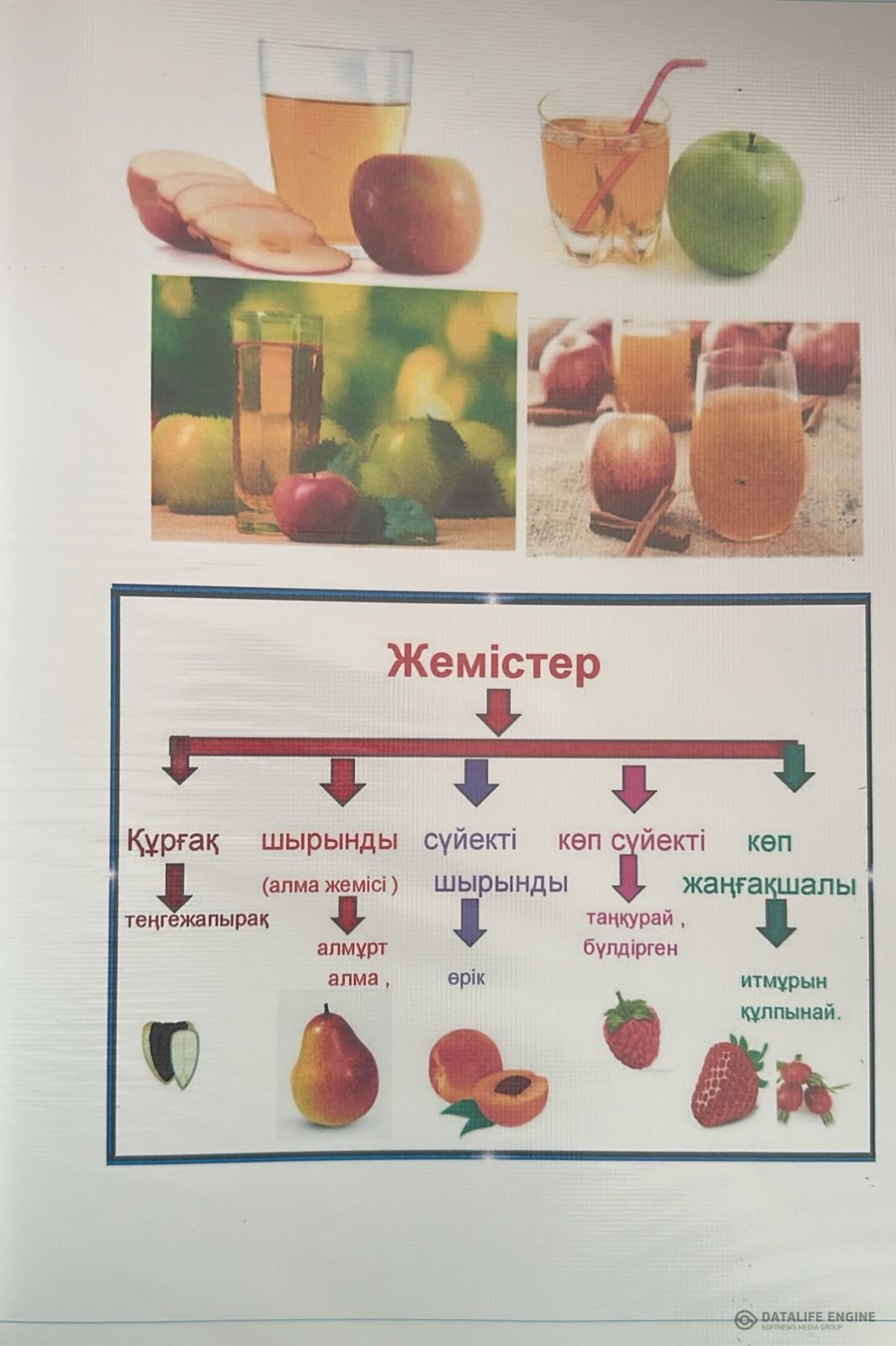 Бала ағзасына шырынның пайдасы