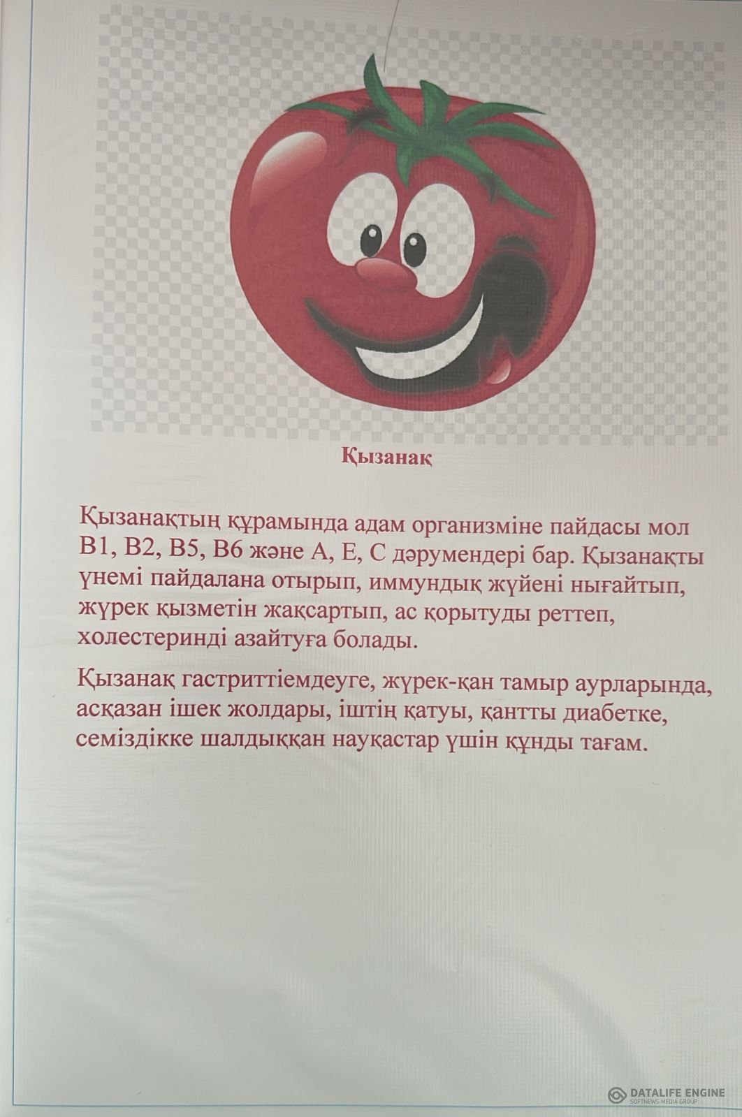 Қызанақ пайдасы