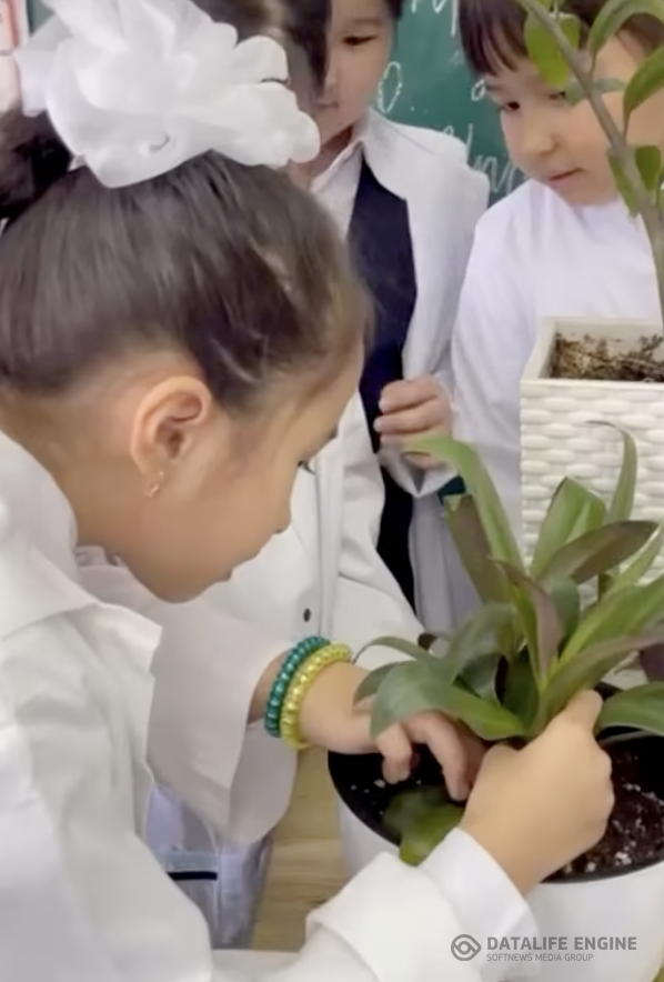 Жаратылыстану сабағынан көрініс